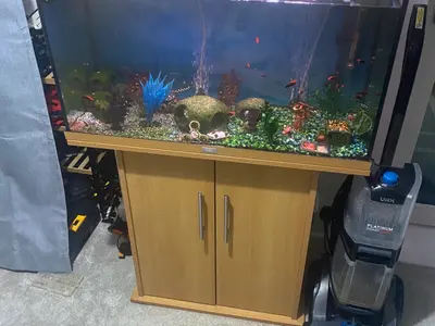 Fish tank with all the accessories  4