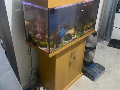 Fish tank with all the accessories  3
