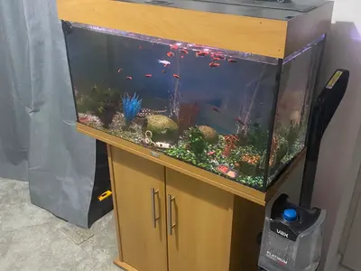 Fish tank with all the accessories  2